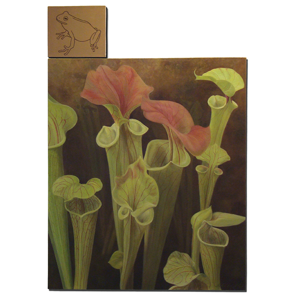 Sarracenia oil painting